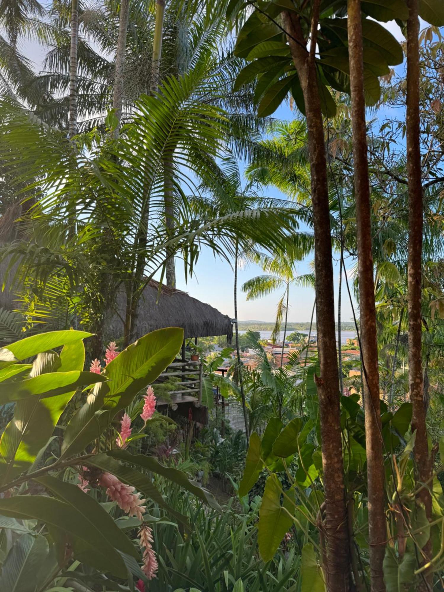 Hostel Zen - Casa Na Floresta Itacaré Eksteriør bilde