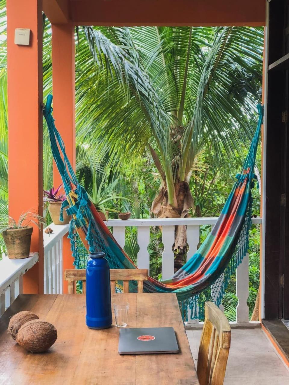 Hostel Zen - Casa Na Floresta Itacaré Eksteriør bilde